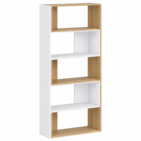 Rafturi ML - Bibliotecă extensibilă MODUL