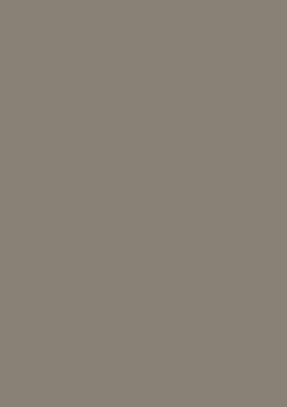 EGGER MDF - MDF U740 PM/ST9 Taupe închis (19) 2800x2070 (EG) PerfectSense