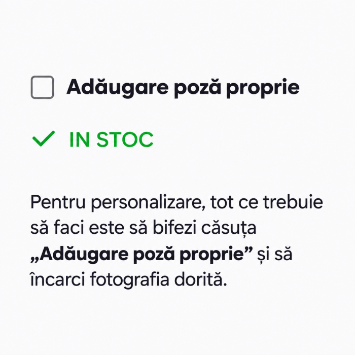Pinata Copii Personalizata cu Poza proprie [2]