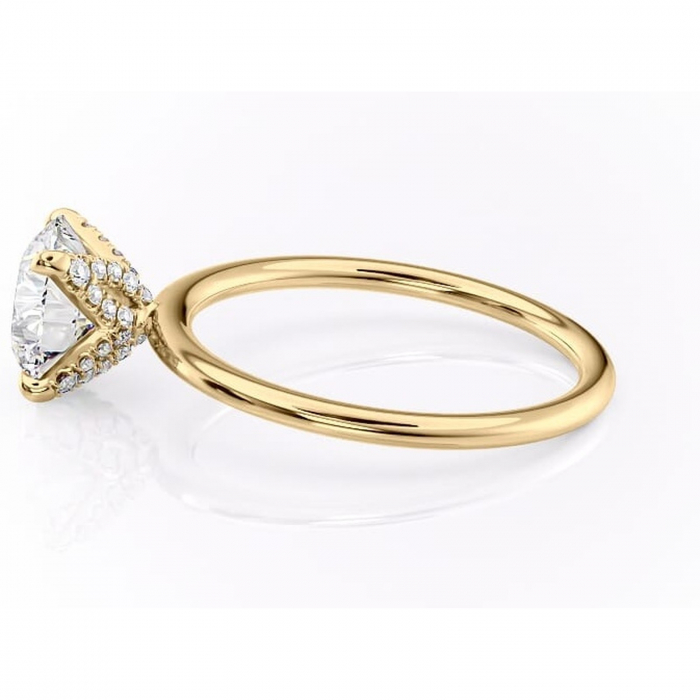 Inel de logodnă Lux din aur Galben 14kt cu moissanite tăietură rotundă – Solitar rafinată pentru profil înalt | Personalizează și configurează gratuit online [6]