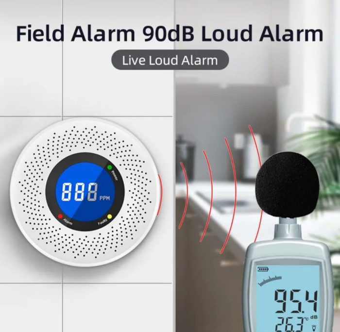 Detector monoxid de carbon, Alarma cu display digital, Functionare pe baterii [5]