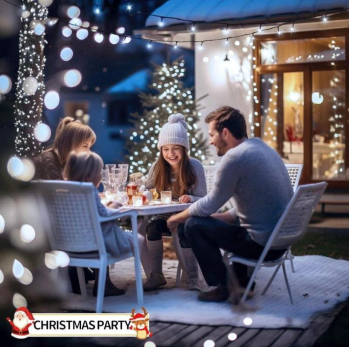 Instalatie Craciun, 100M, 480 leduri, alb rece [3]