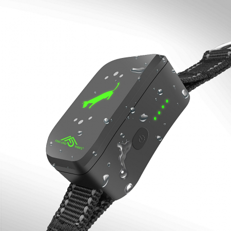 Zgarda electrica cu telecomanda pentru dresajul cainilor [5]
