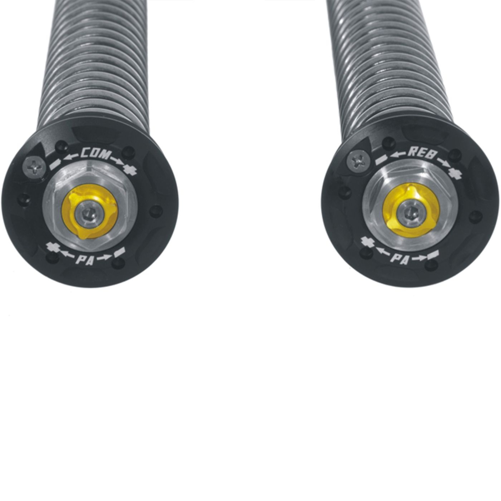 Touratech Suspension Cartridge Kit Extreme for BMW R12 G/S (2025-) [3]