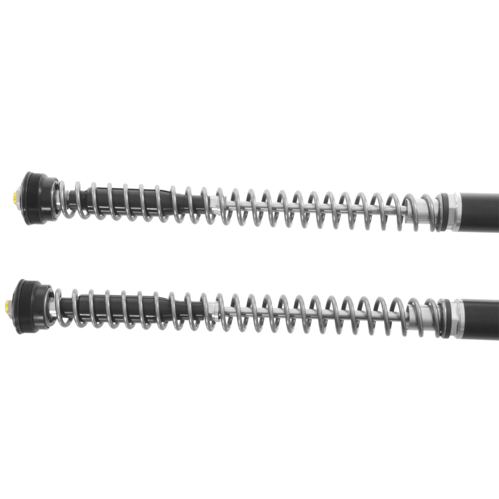 Touratech Suspension Cartridge Kit Extreme for BMW R12 G/S (2025-) [2]