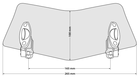 Deflector parbriz Evo, transparent [8]