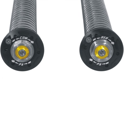 Touratech Suspension Cartridge Kit Extreme for BMW R12 G/S (2025-) [2]