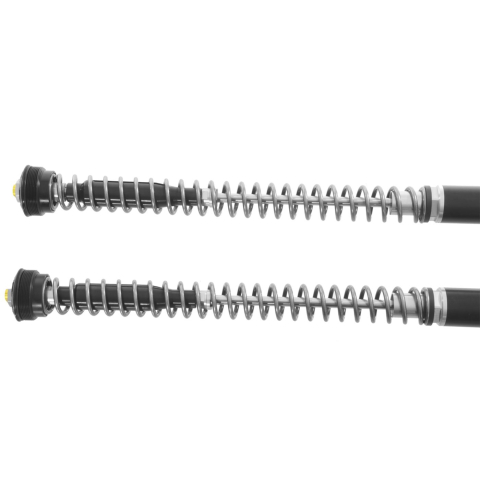 Touratech Suspension Cartridge Kit Extreme for BMW R12 G/S (2025-) [1]