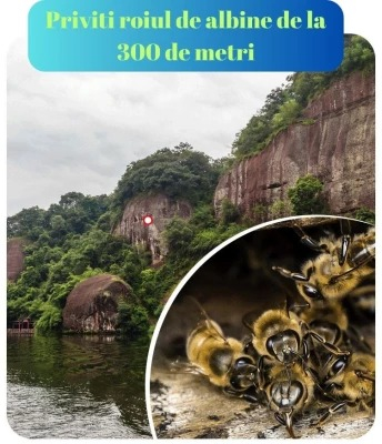 Binoclu Profesional HD 20x50 mm - Performanță Superioară pentru Aventuri Extreme [12]