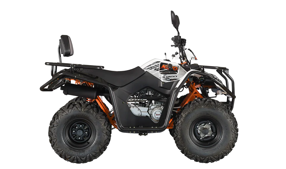 ATV AU200 inmatriculabil T3b [4]