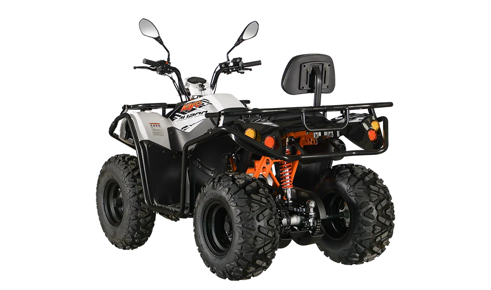 ATV AU200 inmatriculabil T3b [7]