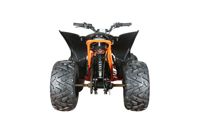 ATV copii eA110 2x4 [electric] [5]