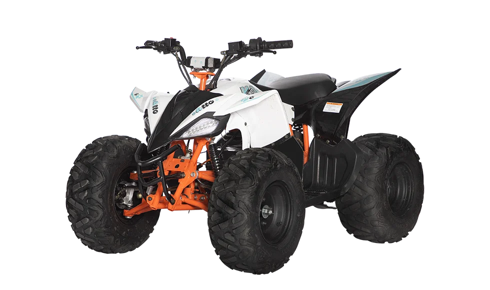 ATV copii eA110 2x4 [electric] [8]