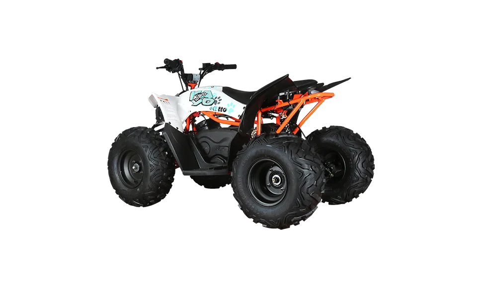 ATV copii eA110 2x4 [electric] [6]