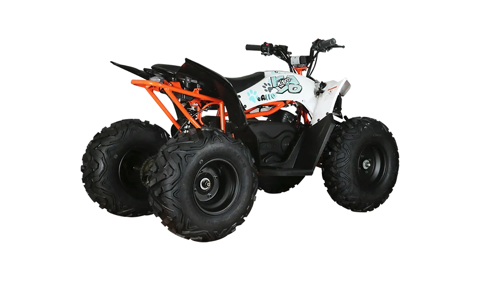 ATV copii eA110 2x4 [electric] [4]
