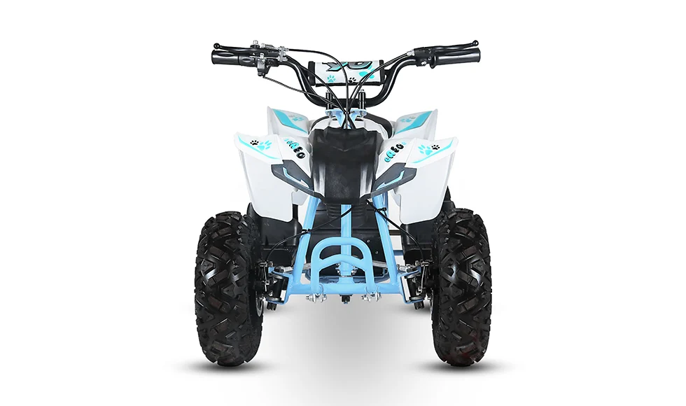 ATV copii eA50 2x4 [electric] [2]