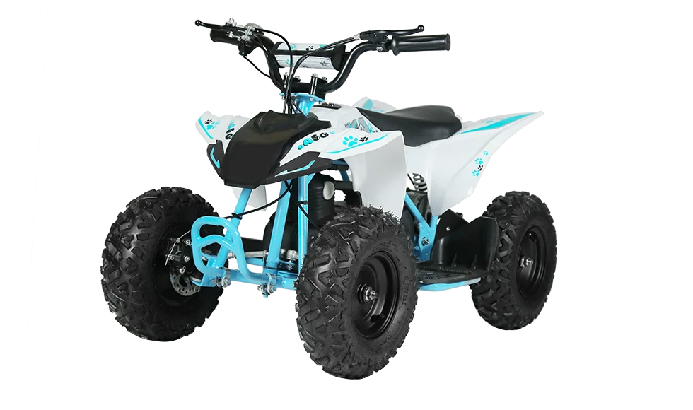 ATV copii eA50 2x4 [electric] [9]