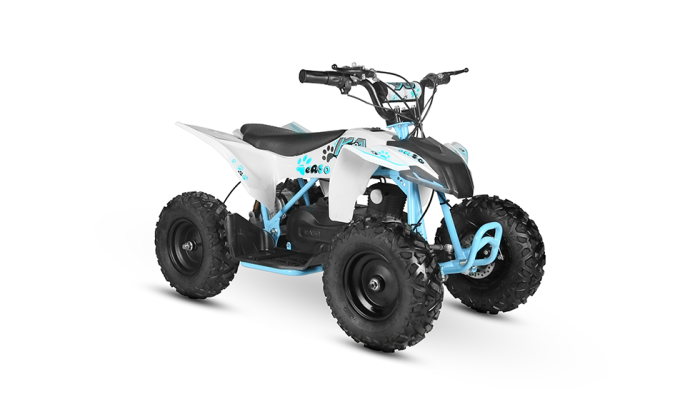 ATV copii eA50 2x4 [electric] [3]
