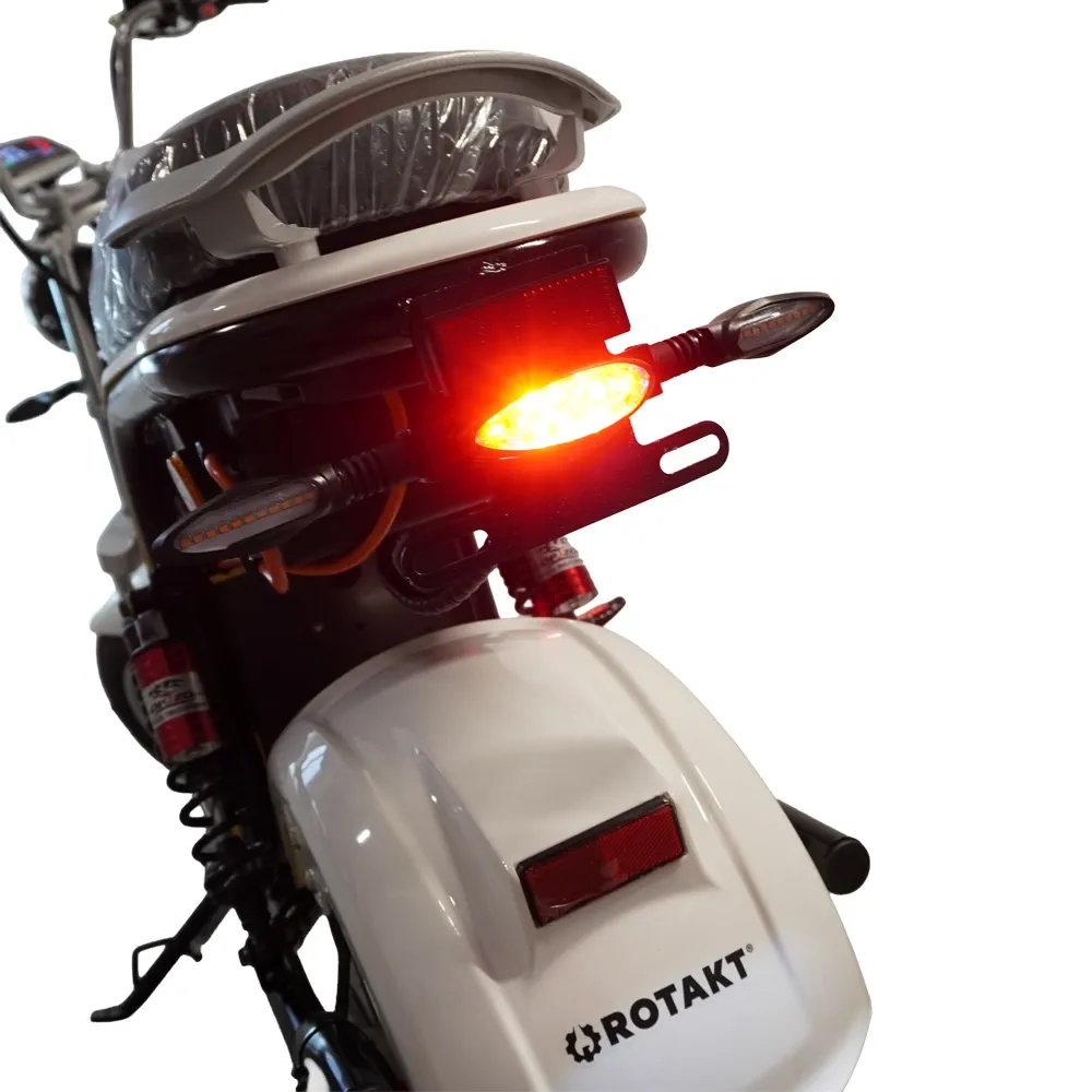 Scuter Motor Electric Cruiser [9]