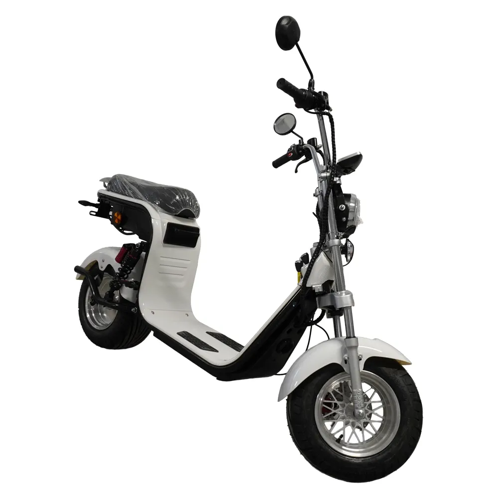 Scuter Motor Electric Cruiser [4]