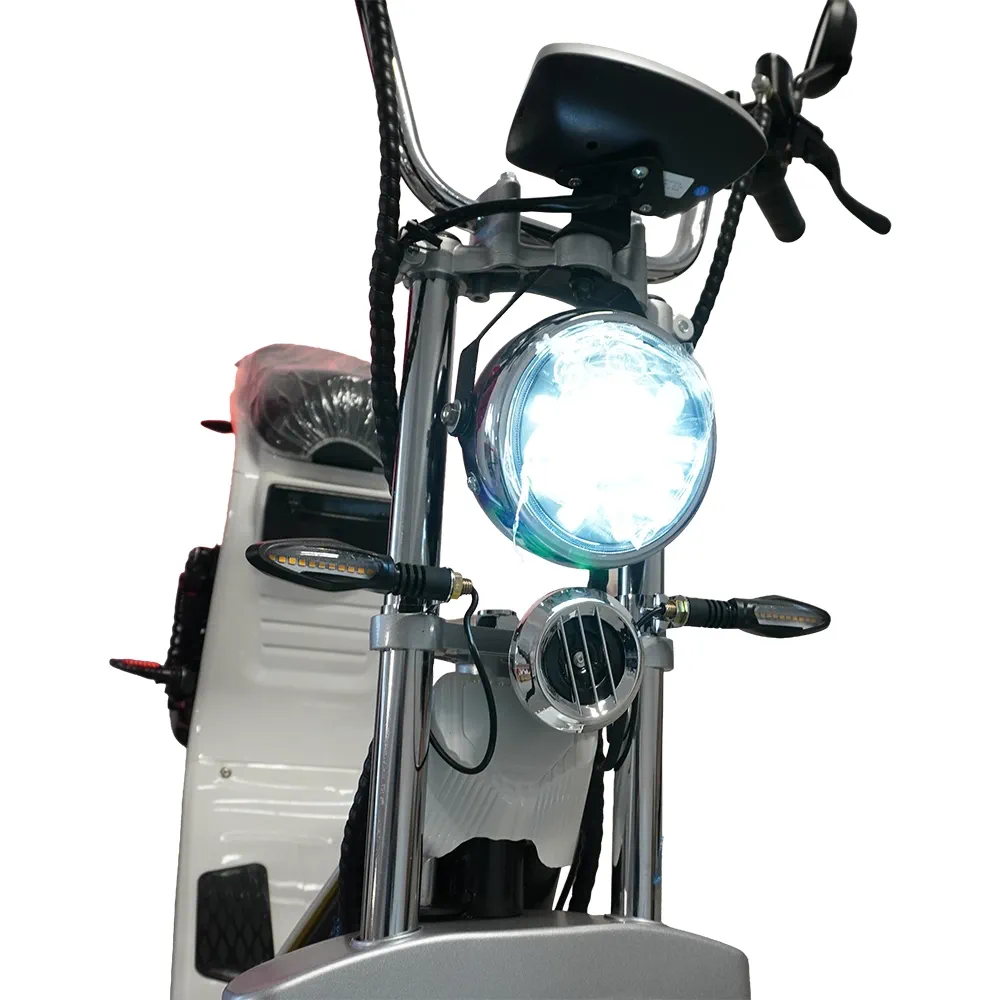 Scuter Motor Electric Cruiser [8]