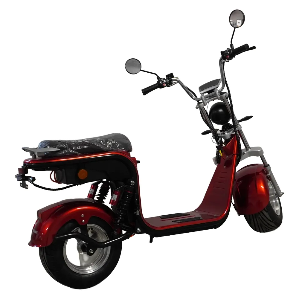 Scuter Motor Electric Cruiser [2]