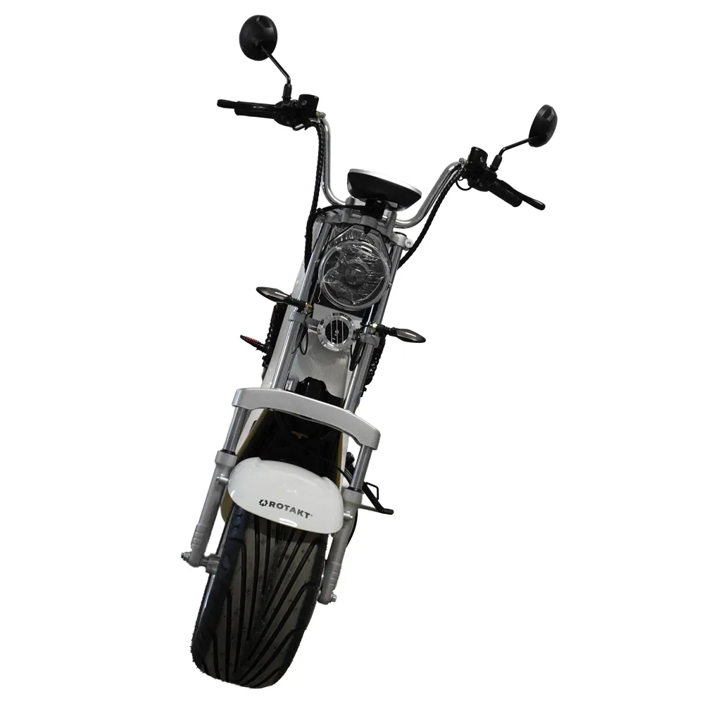 Scuter Motor Electric Cruiser [10]