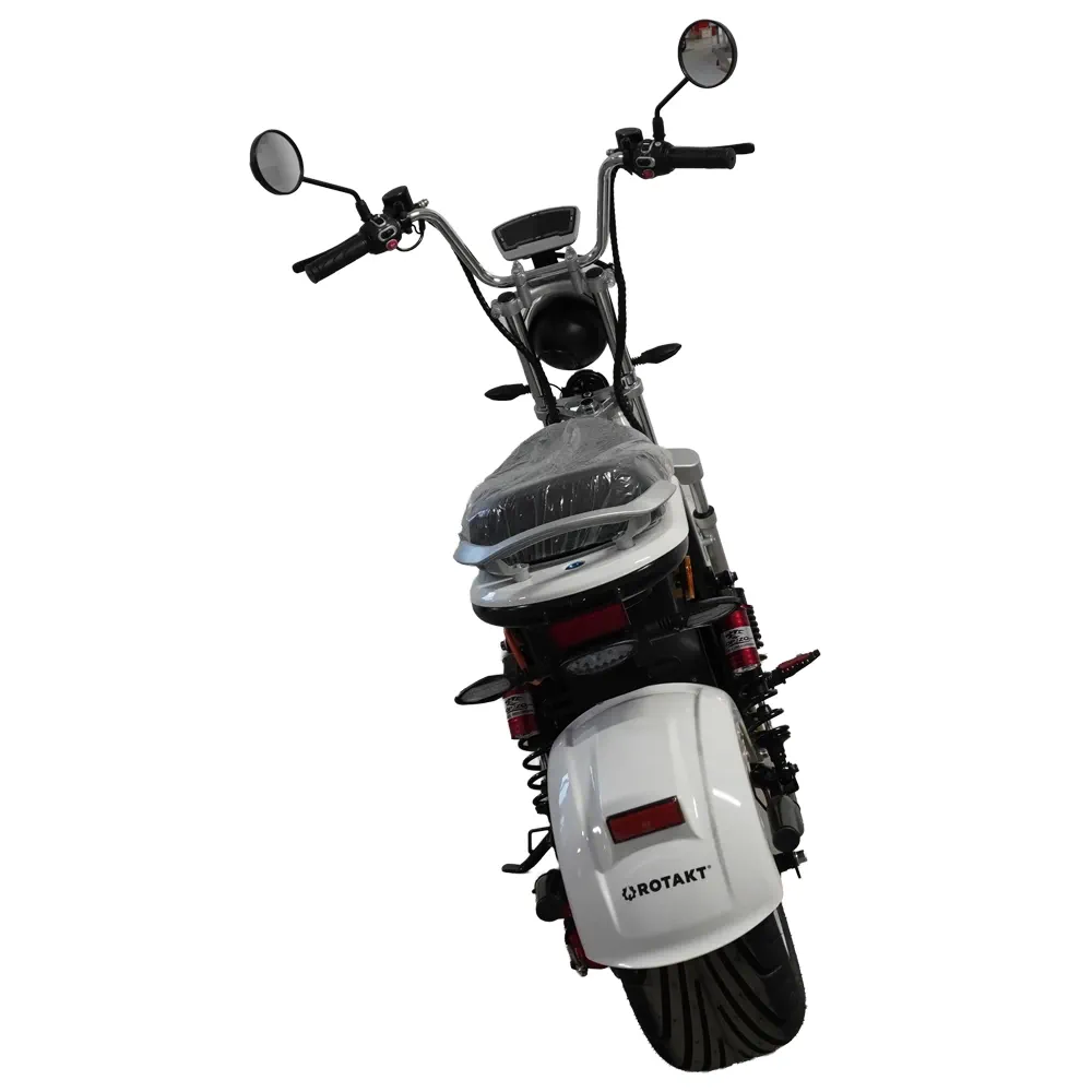 Scuter Motor Electric Cruiser [11]