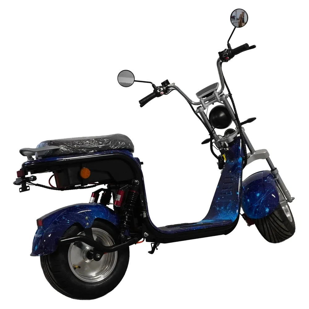 Scuter Motor Electric Cruiser [3]
