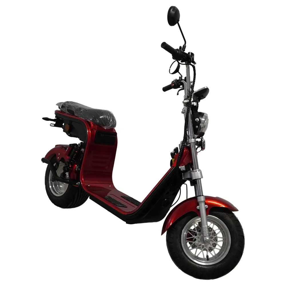 Scuter Motor Electric Cruiser [5]