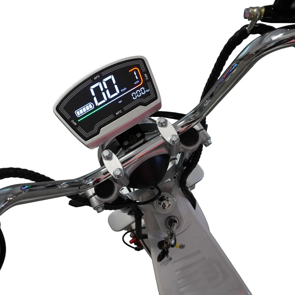 Scuter Motor Electric Cruiser [7]