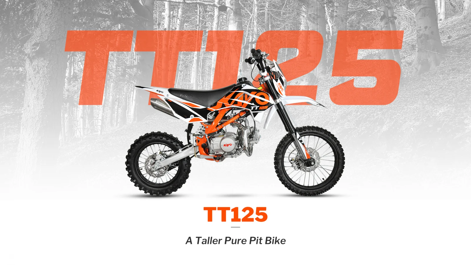 KAYO - Motocicleta PitBike TT125