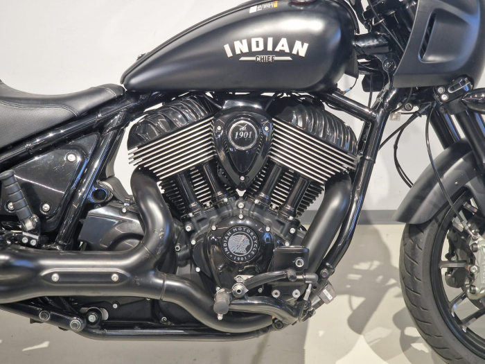 Indian Spot Cheif [7]