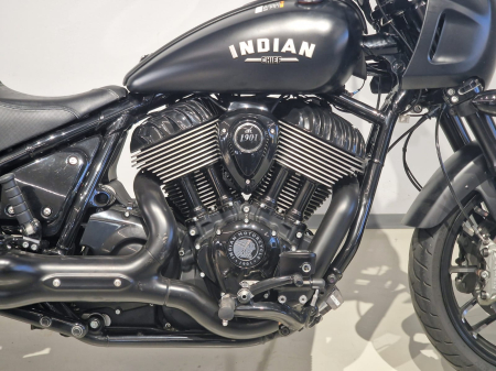 Indian Spot Cheif [6]