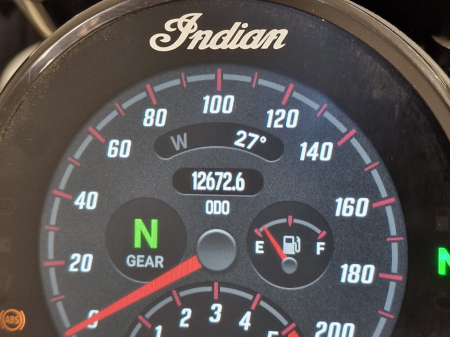 Indian Spot Cheif [3]