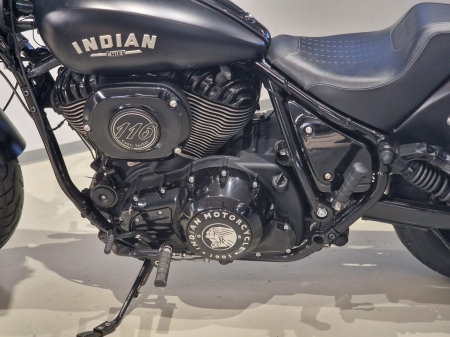 Indian Spot Cheif [1]