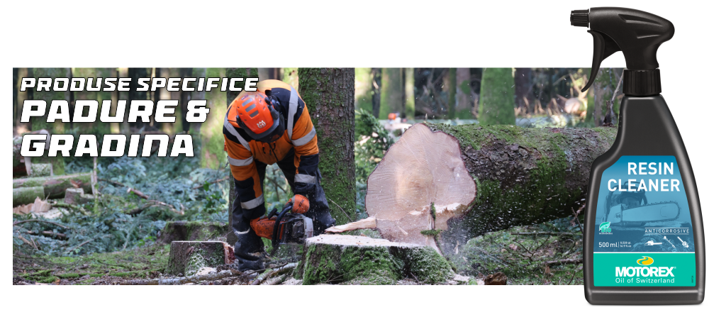 Gama Padure si Gradina