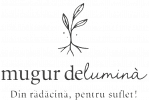 Muguridelumina
