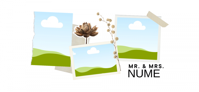 Cana Dl/Dna  colaj 3 poze [2]