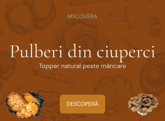 pulberi din ciuperci