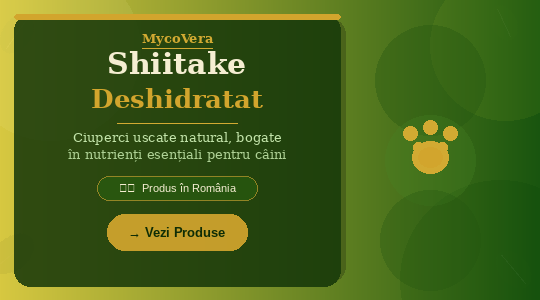 Shiitake deshidratat
