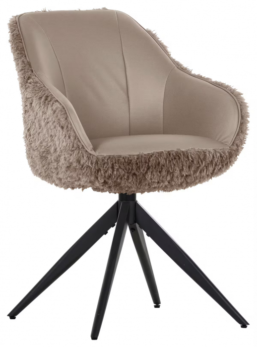 Scaun cu aspect plusat [1]