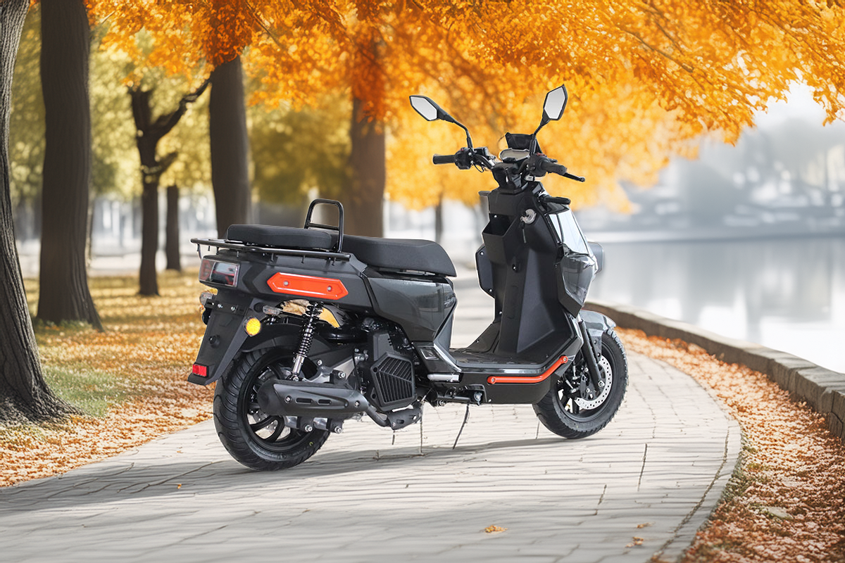Delta Workko 125 in peisaj