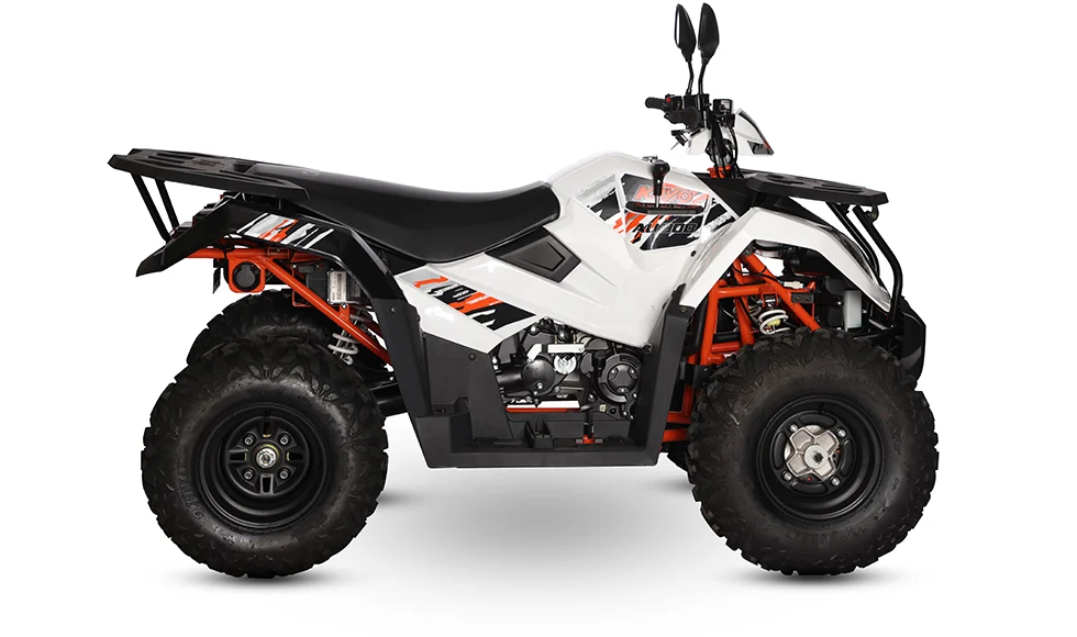 KAYO - ATV AU300 [inmatriculabil T3B] [4T] [3]
