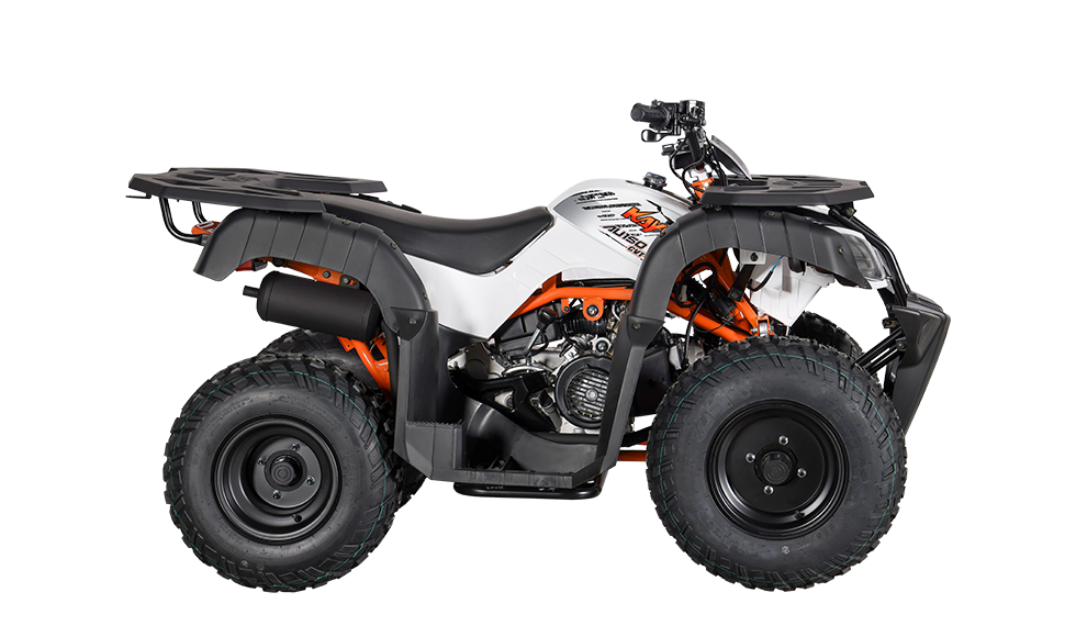 KAYO AU150 CVT [2]