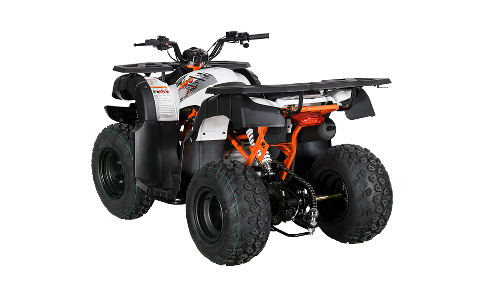 KAYO AU150 CVT [5]