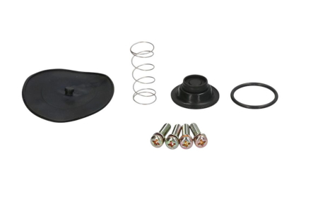 Kituri reparație robinet benzină - 