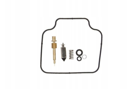 Kituri reparație carburator - 