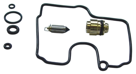 Kituri reparație carburator - 