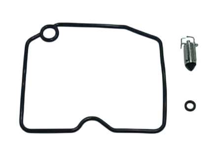 Kituri reparație carburator - 